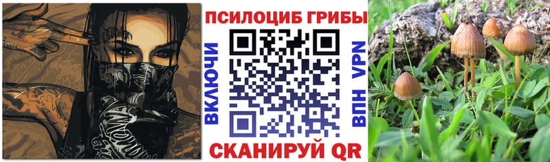купить закладку  Лаишево  Псилоцибиновые грибы ЛСД 